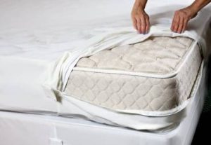 Mattress encasement for bed bugs