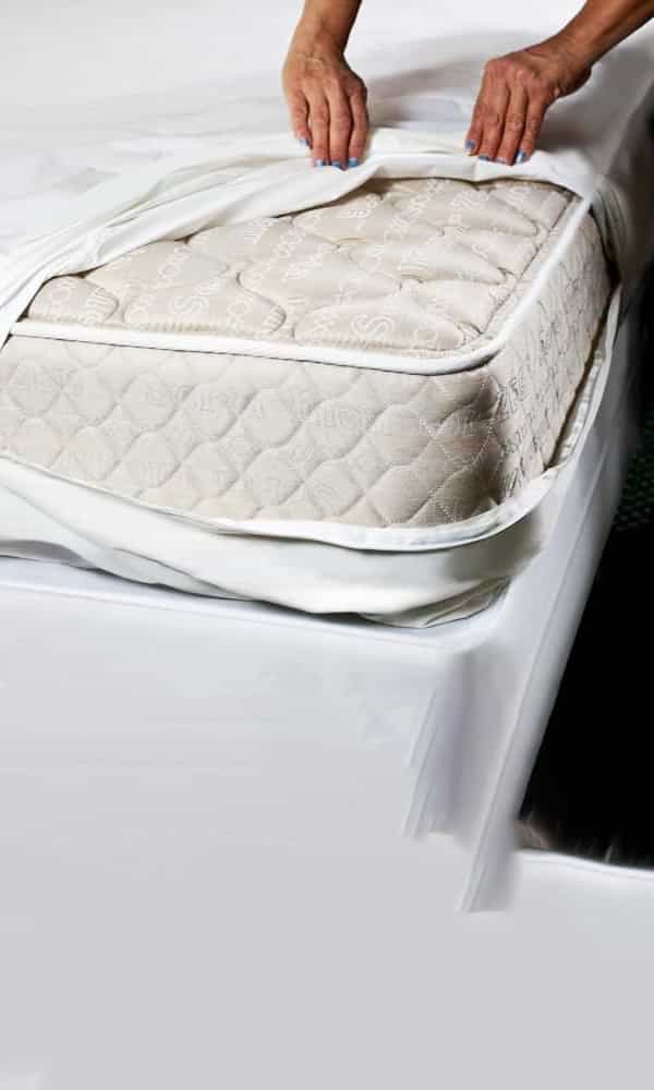 Mattress encasement for bed bugs